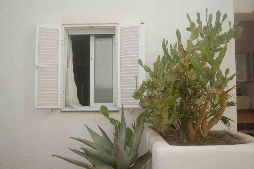 Apartamento A 2 Minutos Andando A La Playa. لا إيسليتا ديل مورو المظهر الخارجي الصورة